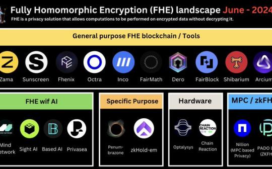 FHE现状、生态格局及未来挑战