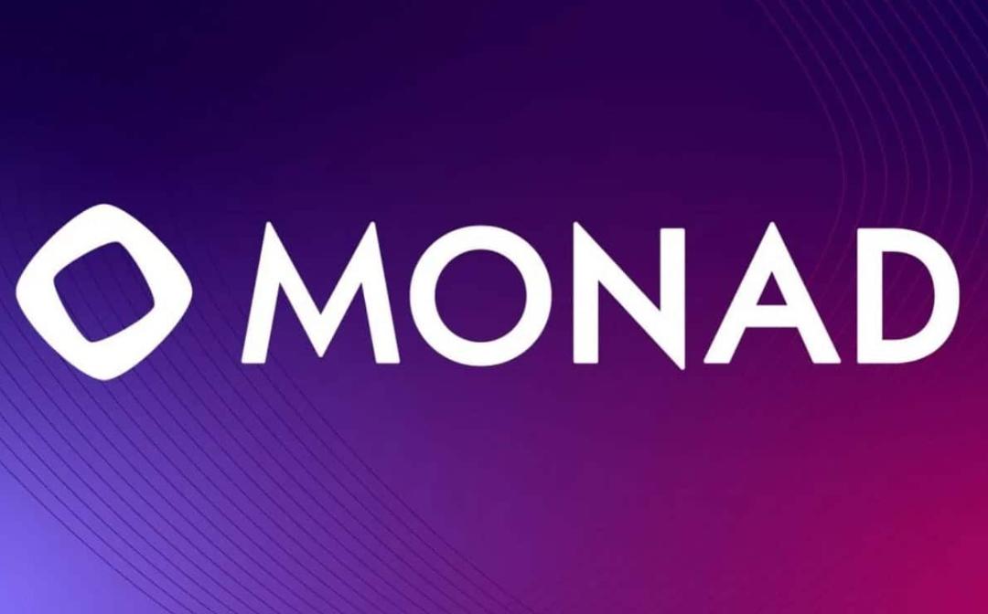 <b>为什么 Monad 的生态系统会吸引风险投资的兴趣</b>