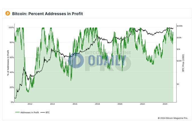 约94%比特币地址处于盈利状态