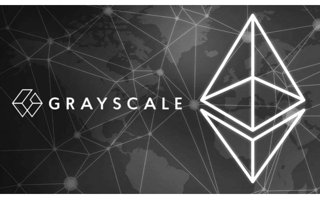 灰度Grayscale研究洞察：2024 年 Q4 加密行业