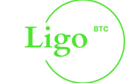 <b>Ligo Network ($AIGO) ——首条实现高性能的AI公链</b>