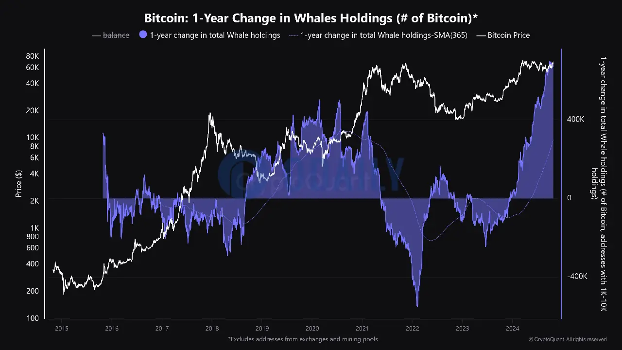 Cryptoquant分析师：比特币鲸鱼持有量达约67万枚触新高