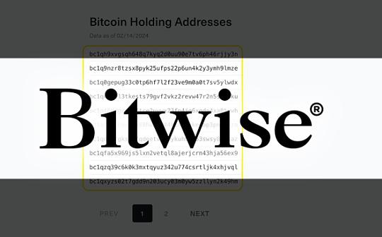 Bitwise：比特币能涨到20万美元的双重驱动