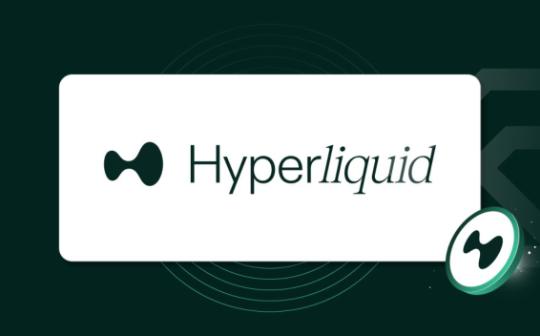 <b>Hyperliquid：一匹鲜为人知的黑马</b>