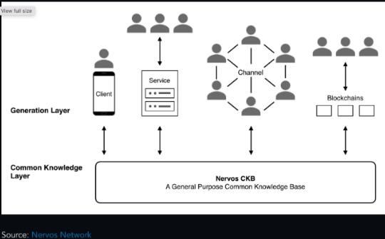 CKB Stablecoin Payment 的实现