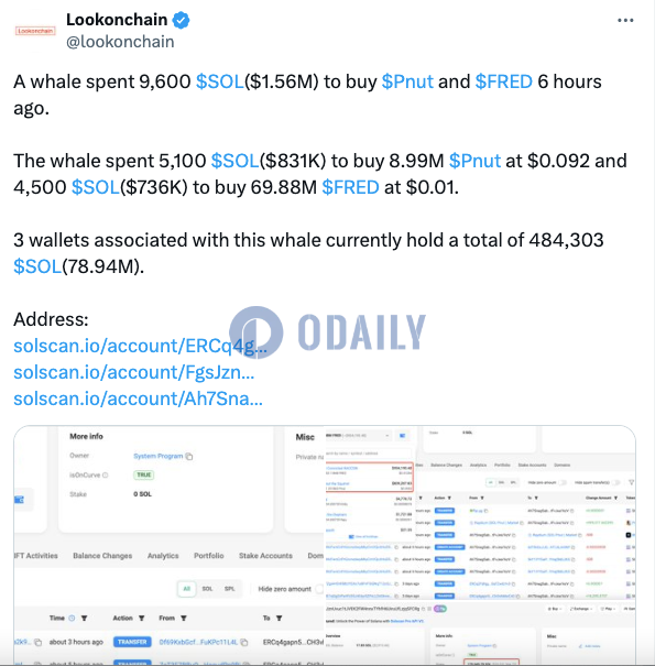 某鲸鱼6小时前花费9600枚SOL买入Pnut和FRED，约合156万美元