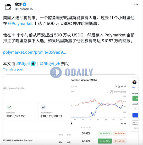 某鲸鱼过去11小时内在Polymarket上花费500万枚USDC押注哈里斯胜选