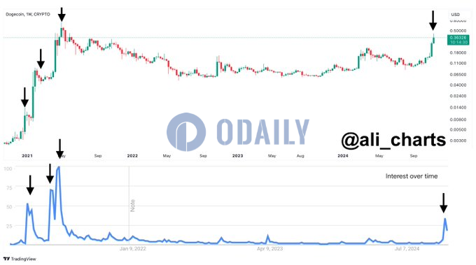 分析师：DOGE可能仍有较大增长空间