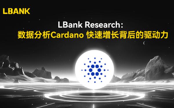 <b>LBank Research：数据分析Cardano 快速增长背后的驱动力</b>