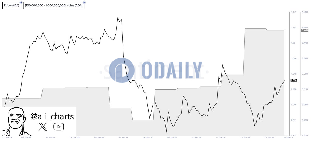 鲸鱼们于近2日买入1亿枚ADA，助推其价格反弹至1美元左右