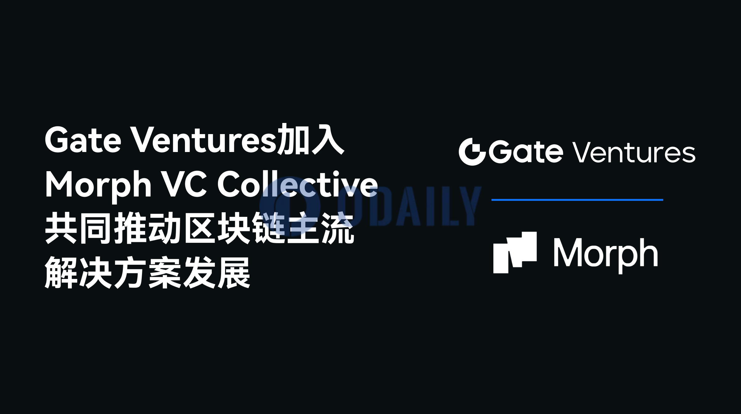 Gate Ventures宣布加入Morph VC Collective，共同助力区块链创新发展