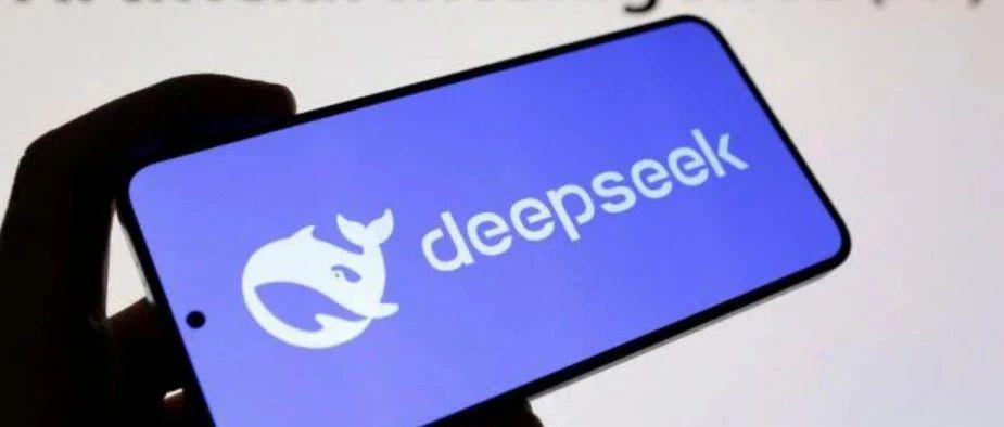 <b>这些国家和政府机构禁止了DeepSeek</b>