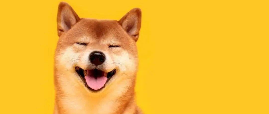 <b>模因经济的崛起：Doge或将成为世界上所有贸易和商业的未来</b>