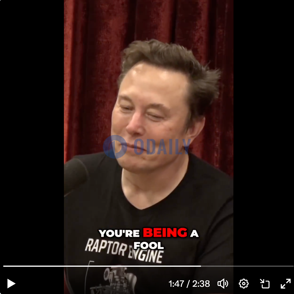 Elon Musk：Meme代币有点像赌场，指望靠赌来获胜很愚蠢