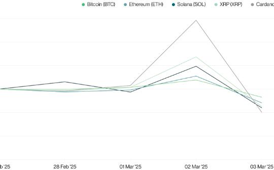 <b>Bitwise：市场错了 特朗普加密战略储备本质是大利好</b>