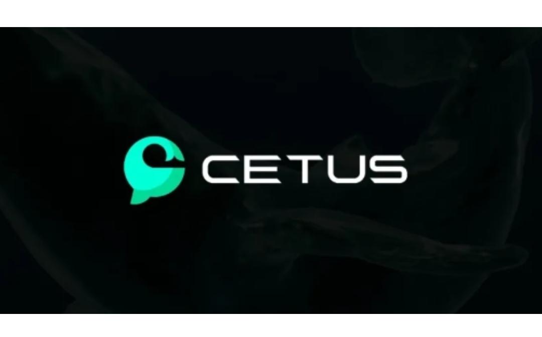 <b>慢雾：Cetus被盗 2.3 亿美金事件分析</b>